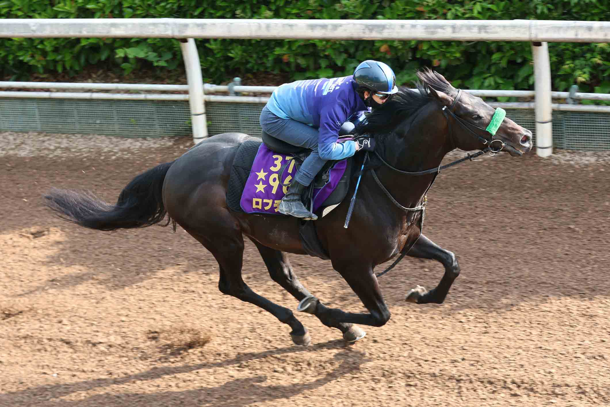 小倉サマージャンプ】ロスコフが〝想定外の一戦〟を制して重賞初V